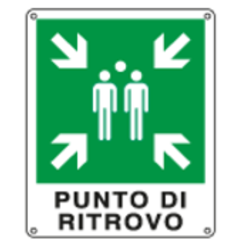 CARTELLO DI EMERGENZA PUNTO DI RITROVO 250x310 Alluminio piano spess.5/10