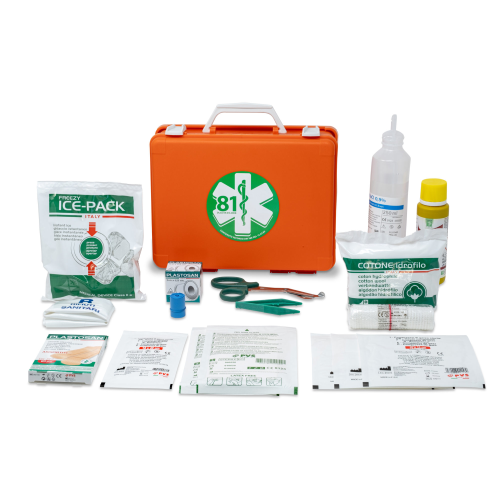 MEDIC 1 ALL. 2 contenuto base FINO A 2 LAVORATORI