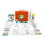 MEDIC 1  DPP 25 13.06.05  ALTO ADIGE