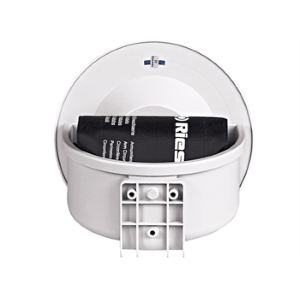 SFIGMO BIB BEN - murale